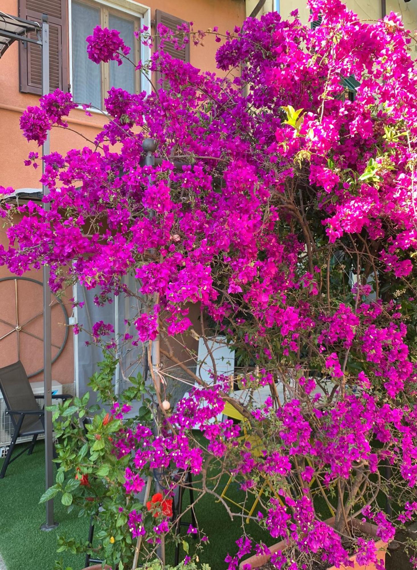 Desiree Apartment La Spezia Exterior photo
